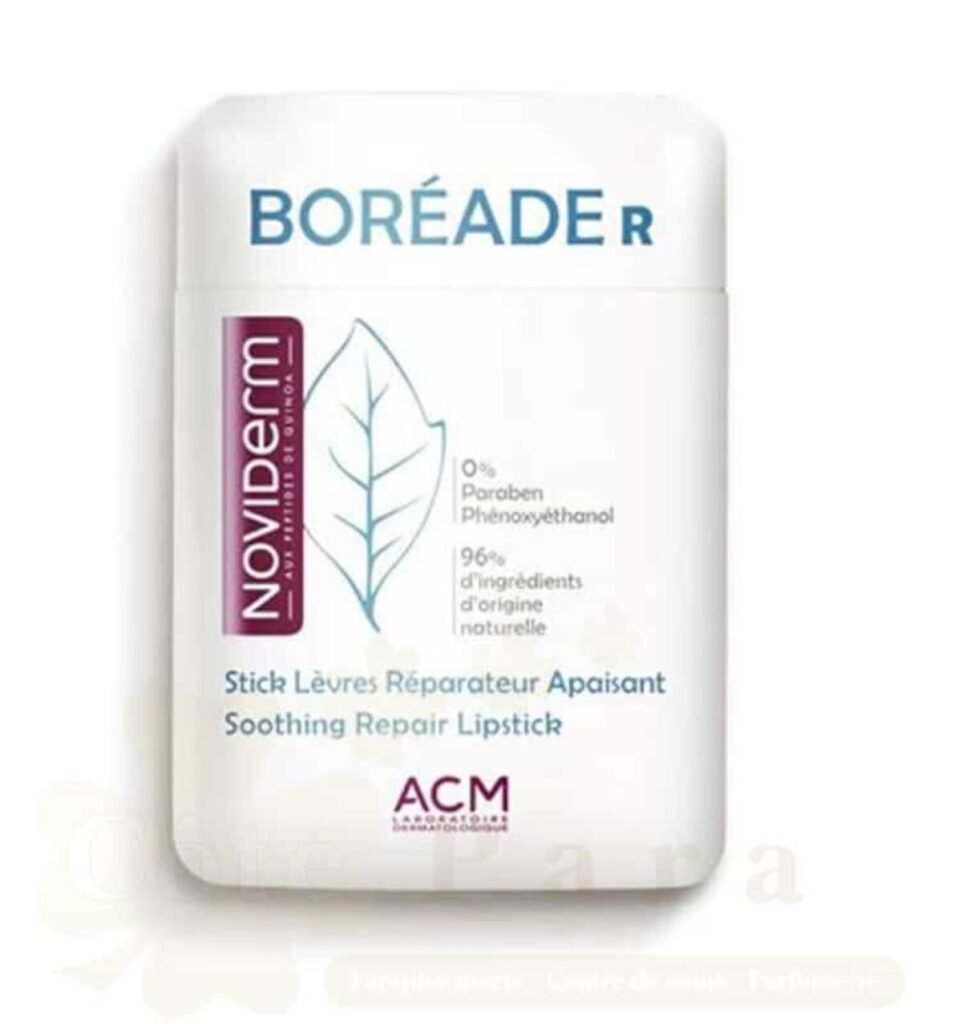 ACM BOREADE R STICK LEVRES REPARATEUR APAISANT 9.2G