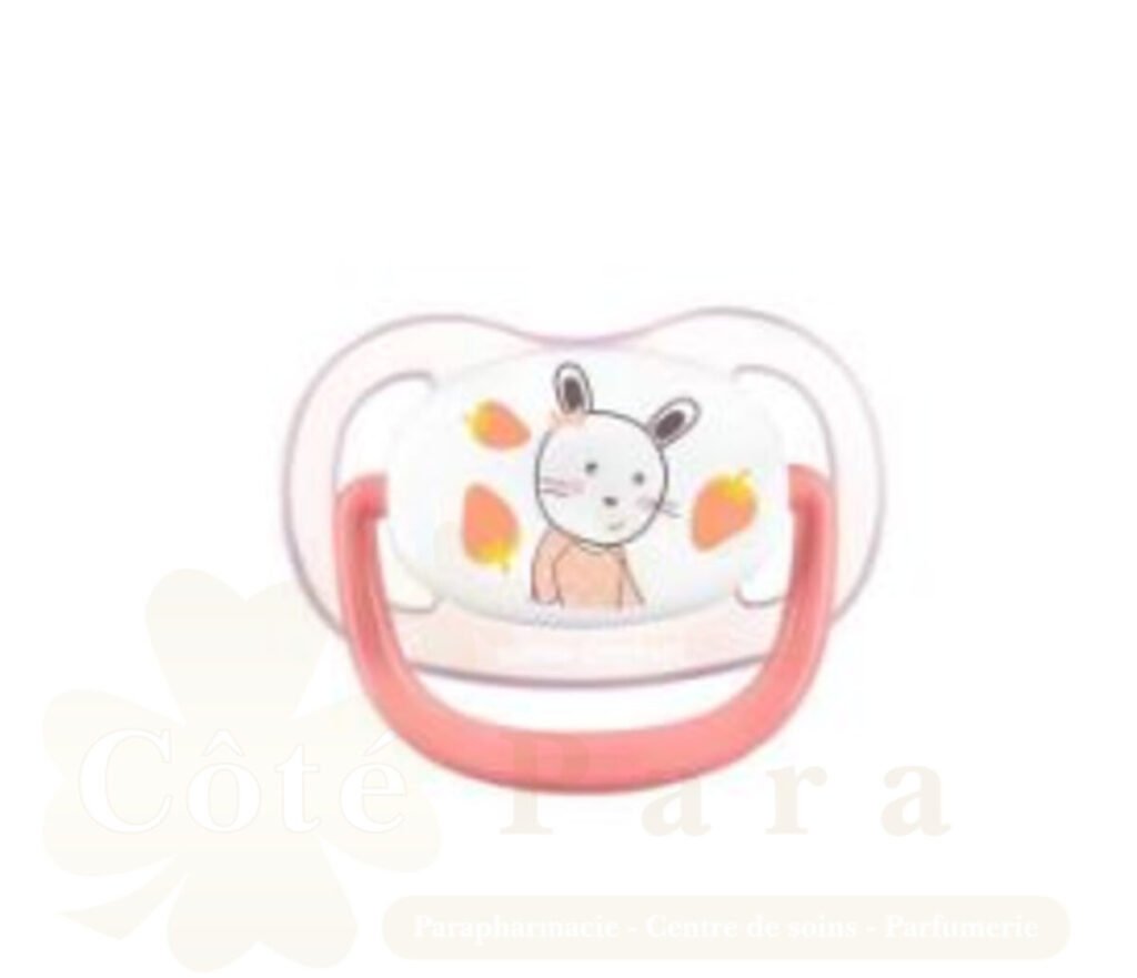 BEBE CONFORT SUC PHYSIO AIR CONFORT GARDNER ROSE 6-18M 6907