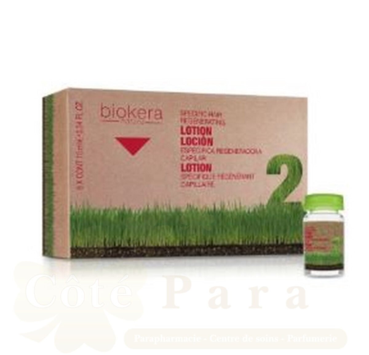 BIOKERA NATURE LOTION INTENSIVE SPECIFIQUE CHUTE 6 AMP BIOKERA NATURE LOTION INTENSIVE SPECIFIQUE CHUTE 6 AMP