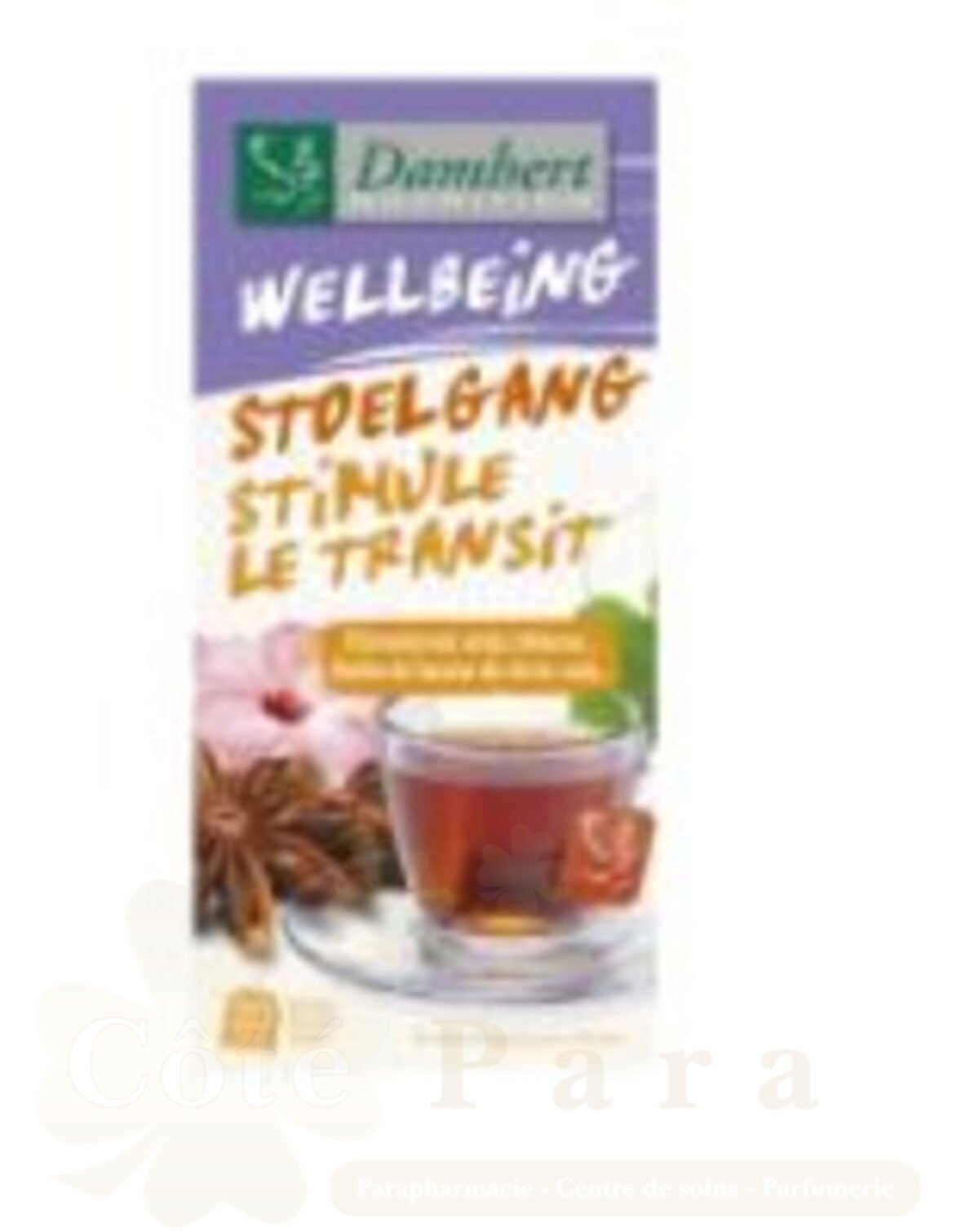 DAMHERT TISAN WELLBEING TEA STIMULE LE TRANSIT 20*2G DAMHERT TISAN WELLBEING TEA STIMULE LE TRANSIT 20*2G