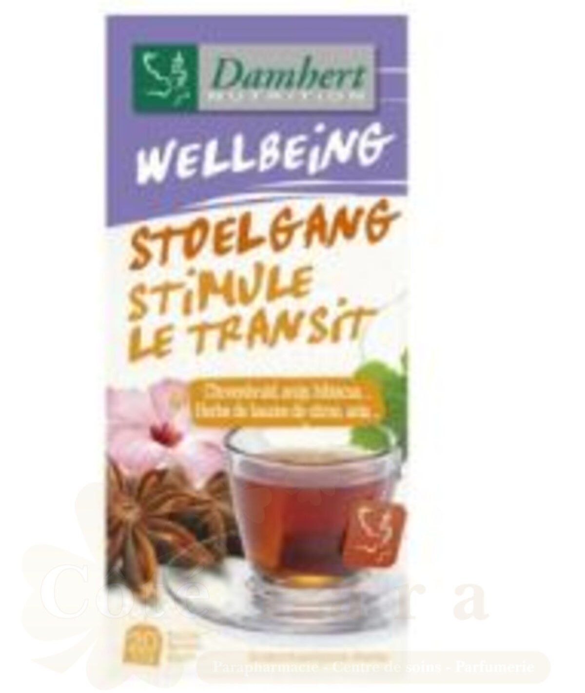 DAMHERT TISANE WELLBEING TEA REGLISSE 20*2G DAMHERT TISANE WELLBEING TEA REGLISSE 20*2G
