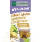 DAMHERT WELLBEING TISANE GEMBER LIMOEN 20*1.75G