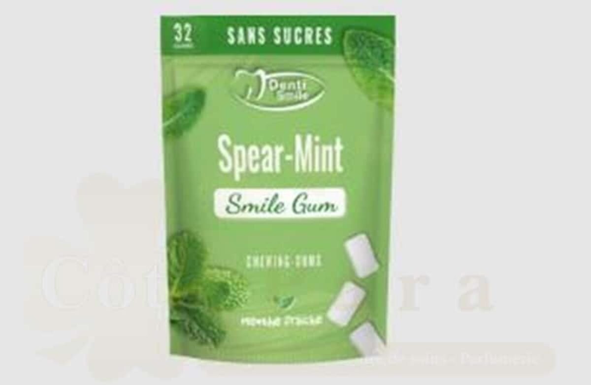 DENTI SMILE SMILE GUM MENTHE FRAICHE *32 DENTI SMILE SMILE GUM MENTHE FRAICHE *32