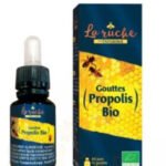 DIETAROMA LA RUCHE GOUTTES PROPOLIS BIO 15ML