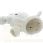 DODIE BOUILLOTTE AUX PEPINS DE RAISINS MOUTON 6M+