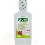 GUM BDB ACTIVITAL 300ML REF 6061