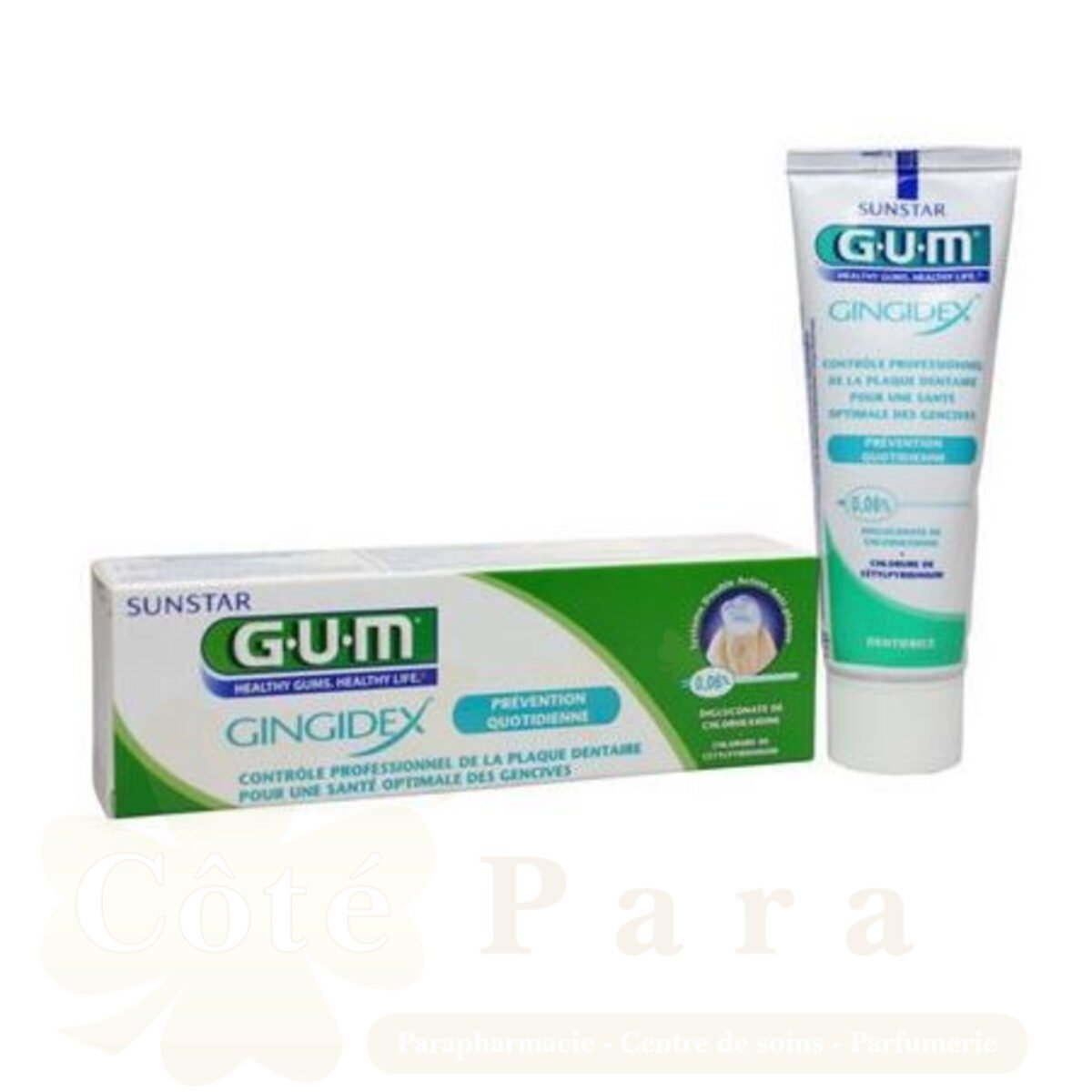 GUM DENTIFRICE GINGIDEX 1755 GUM DENTIFRICE GINGIDEX 1755