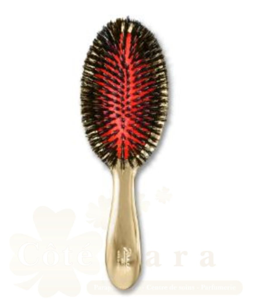 JANEKE BROSSE A CHEVEUX FINITION DORE 22*7CM AUSP22M