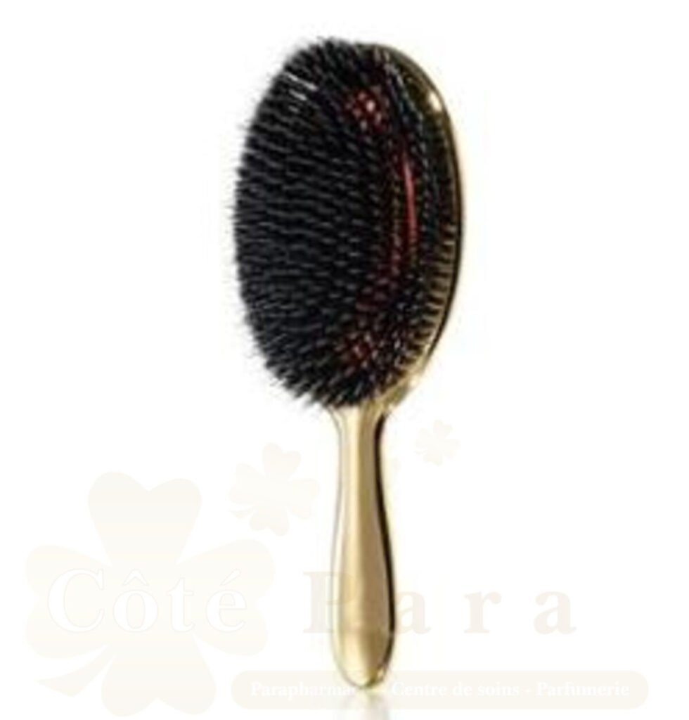 JANEKE BROSSE A CHEVEUX FINITION DORE G MODEL 23*9*4 5CM AUSP23M