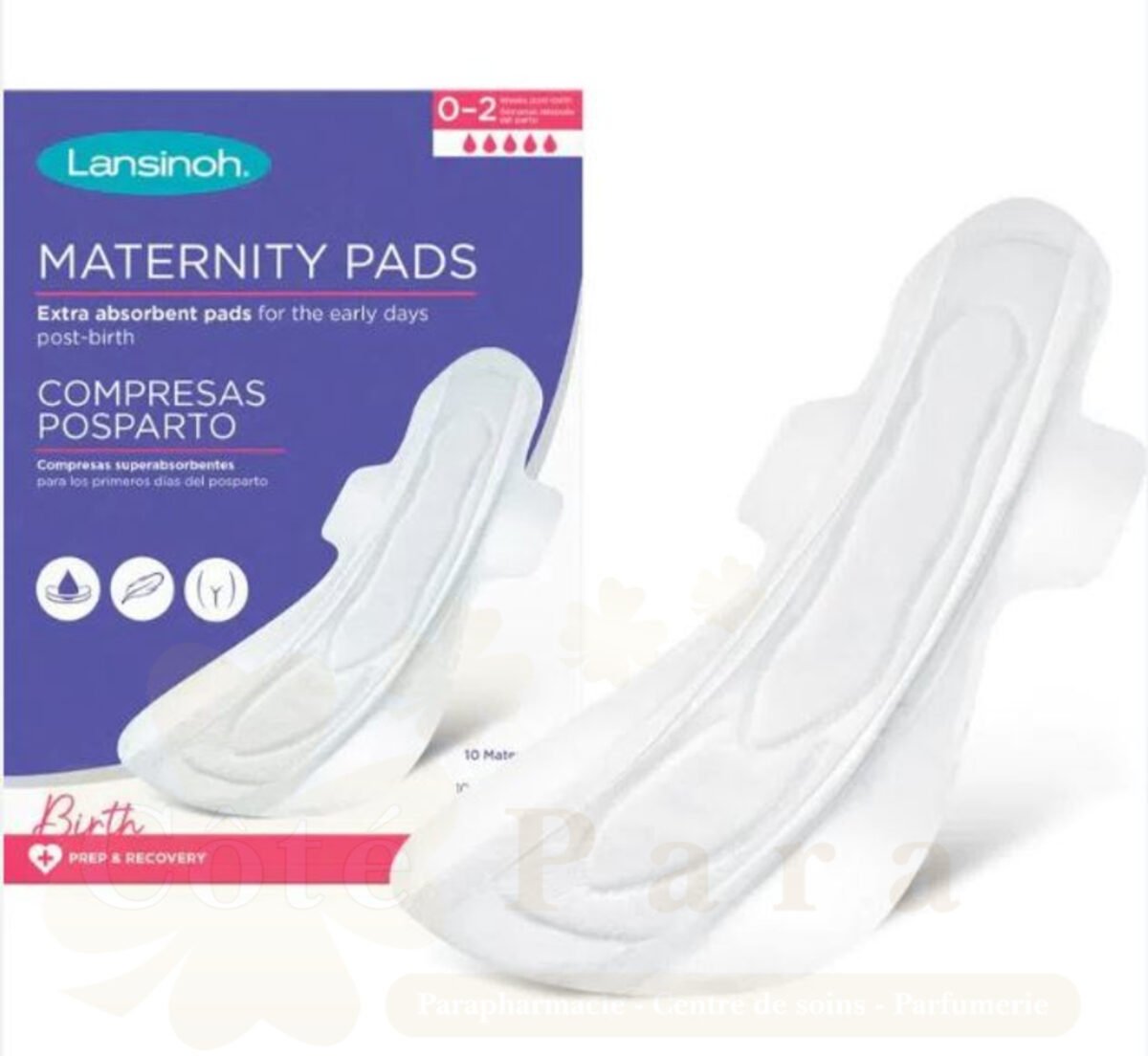 LANSINOH SERVIETTE MATERNITE TAILLE L 10UNITES LANSINOH SERVIETTE MATERNITE TAILLE L 10UNITES