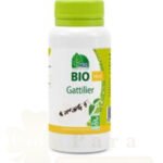MGD BIO GATTILIER 90 GELULES