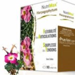 NUTRIMAX HARPAGOPHYTUM 90CP