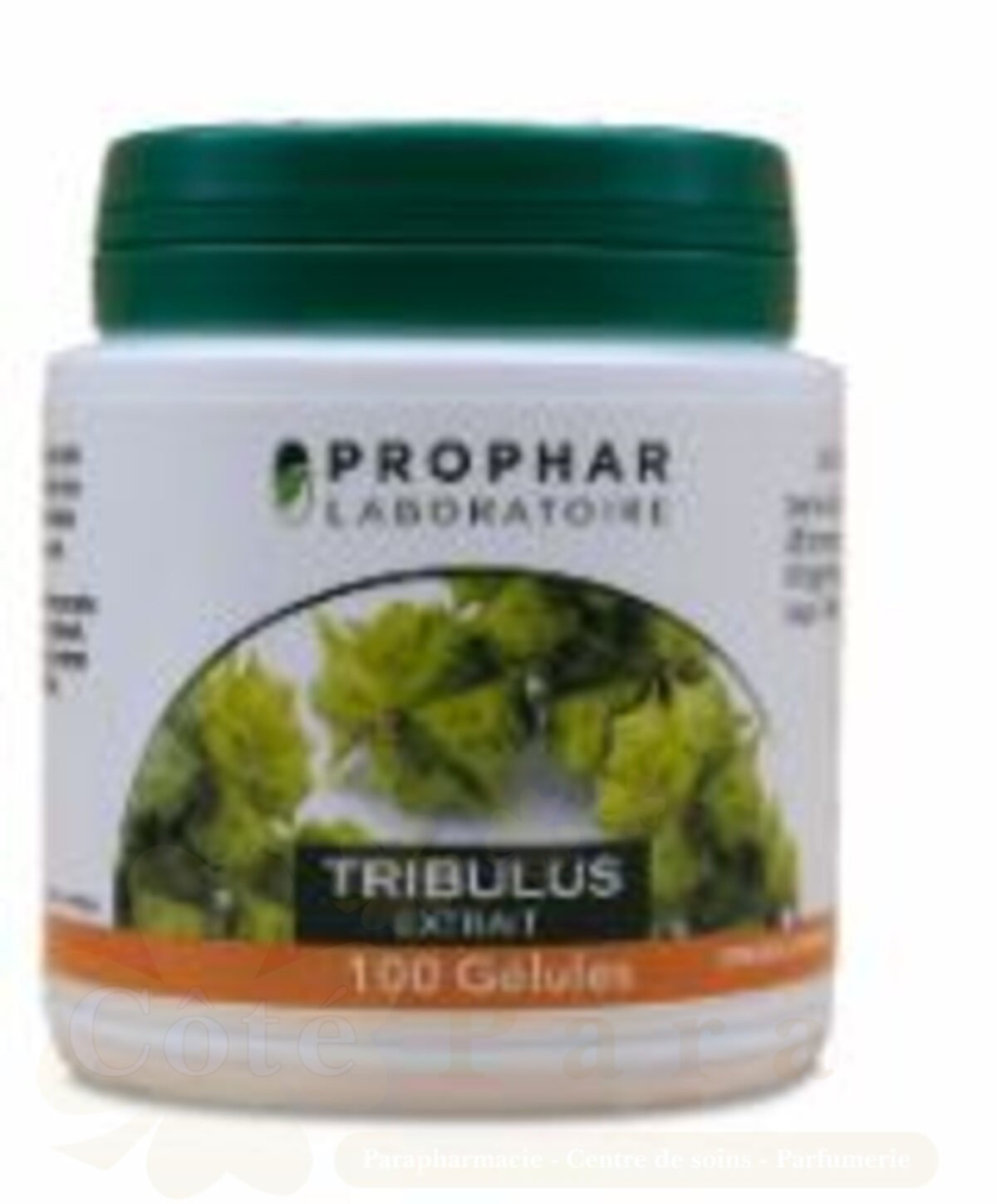PROPHAR TRIBULUS EXTRAIT 100 GELULES PROPHAR TRIBULUS EXTRAIT 100 GELULES