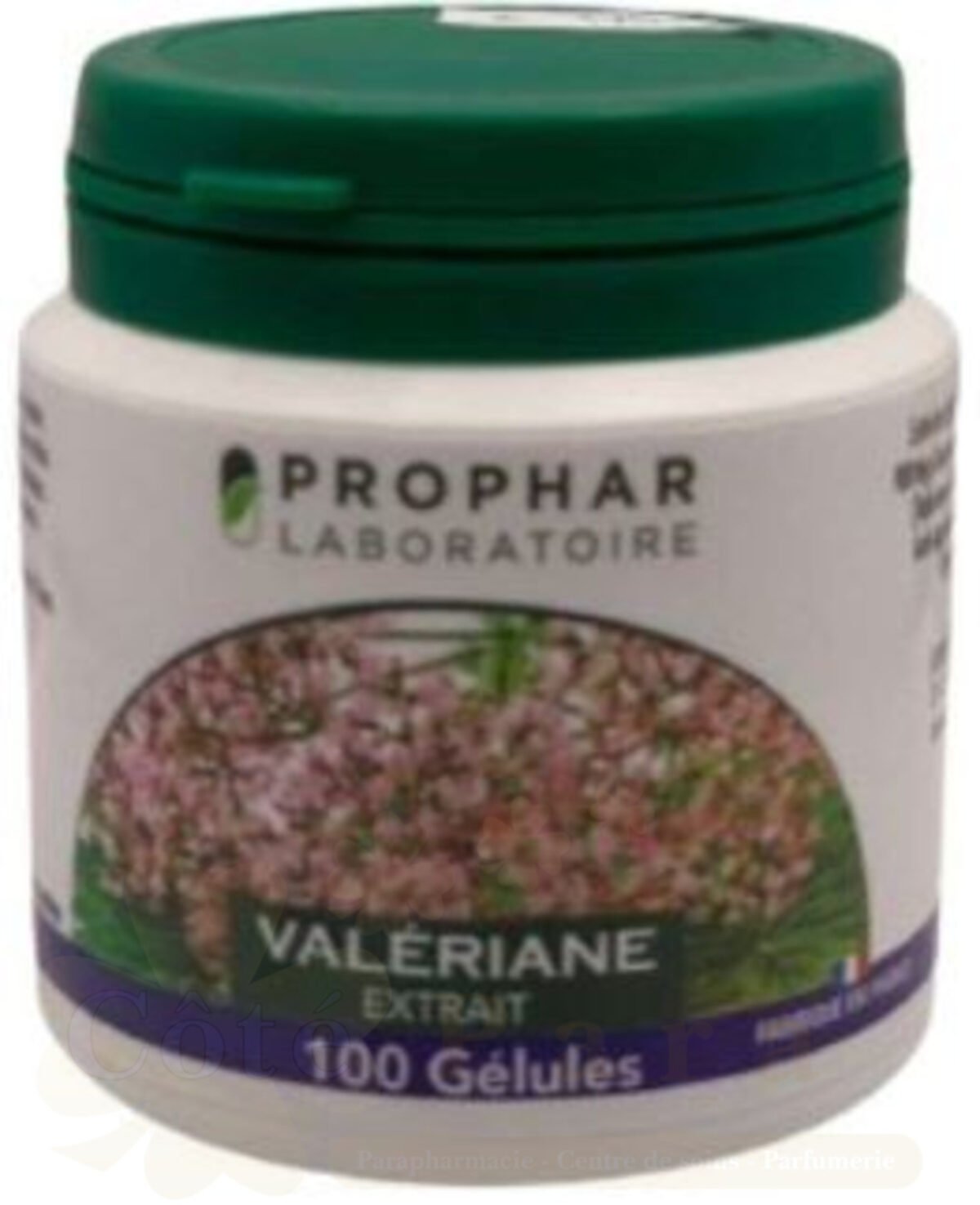 PROPHAR VALERIANE EXTRAIT 100 GELULES PROPHAR VALERIANE EXTRAIT 100 GELULES