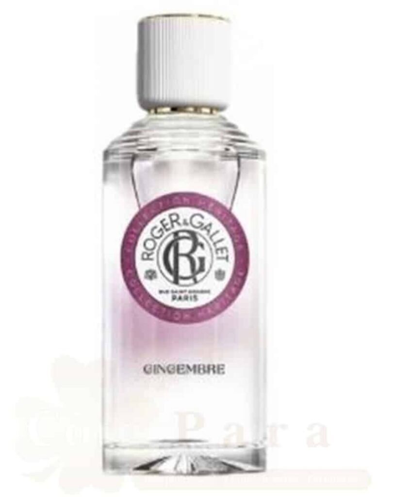 ROGER & GALLET GINGEMBRE EAU PARFUMEE 100ML REF1221