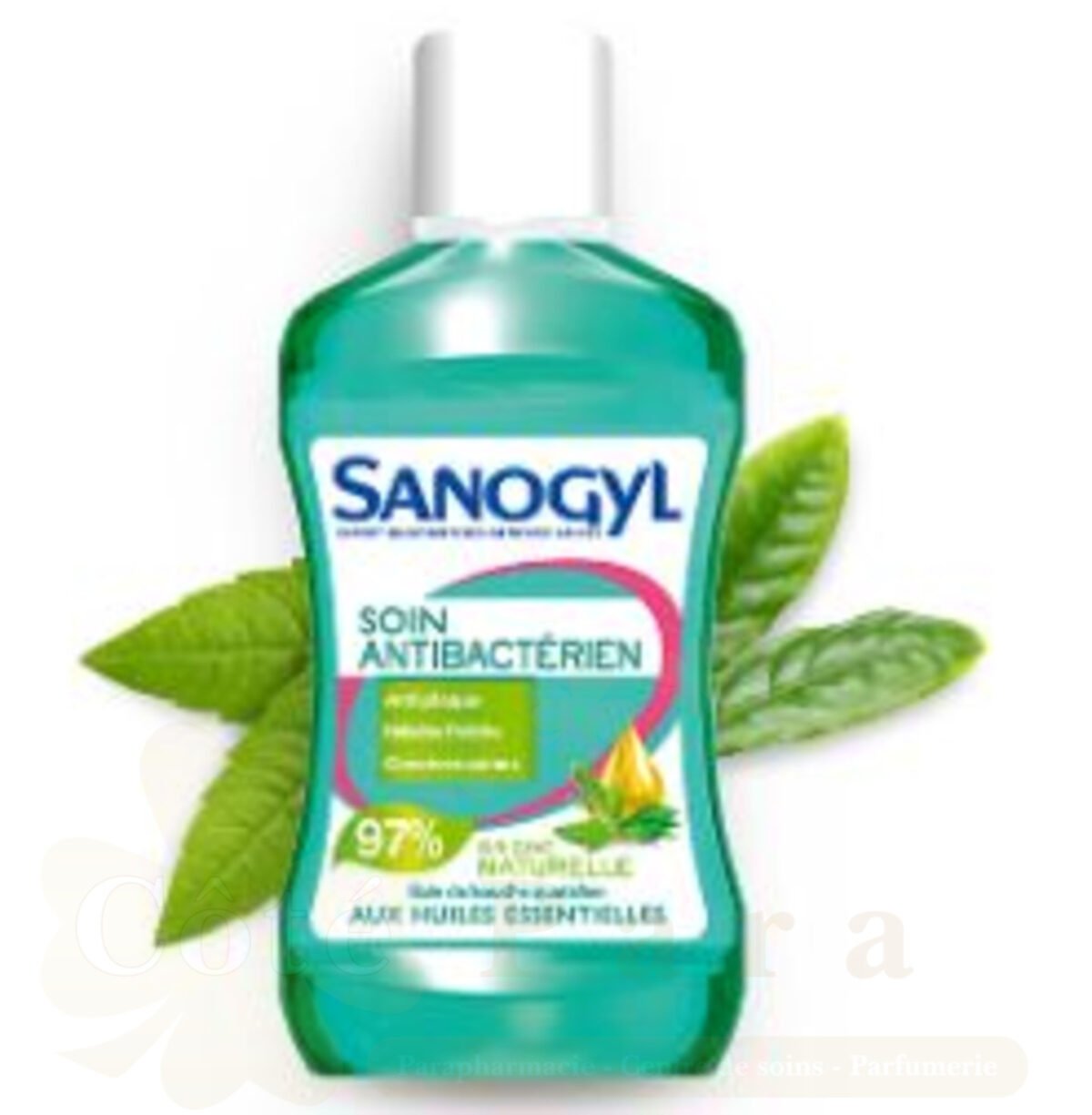 SANOGYL BDB ANTIBACTERIEN 500ML SANOGYL BDB ANTIBACTERIEN 500ML